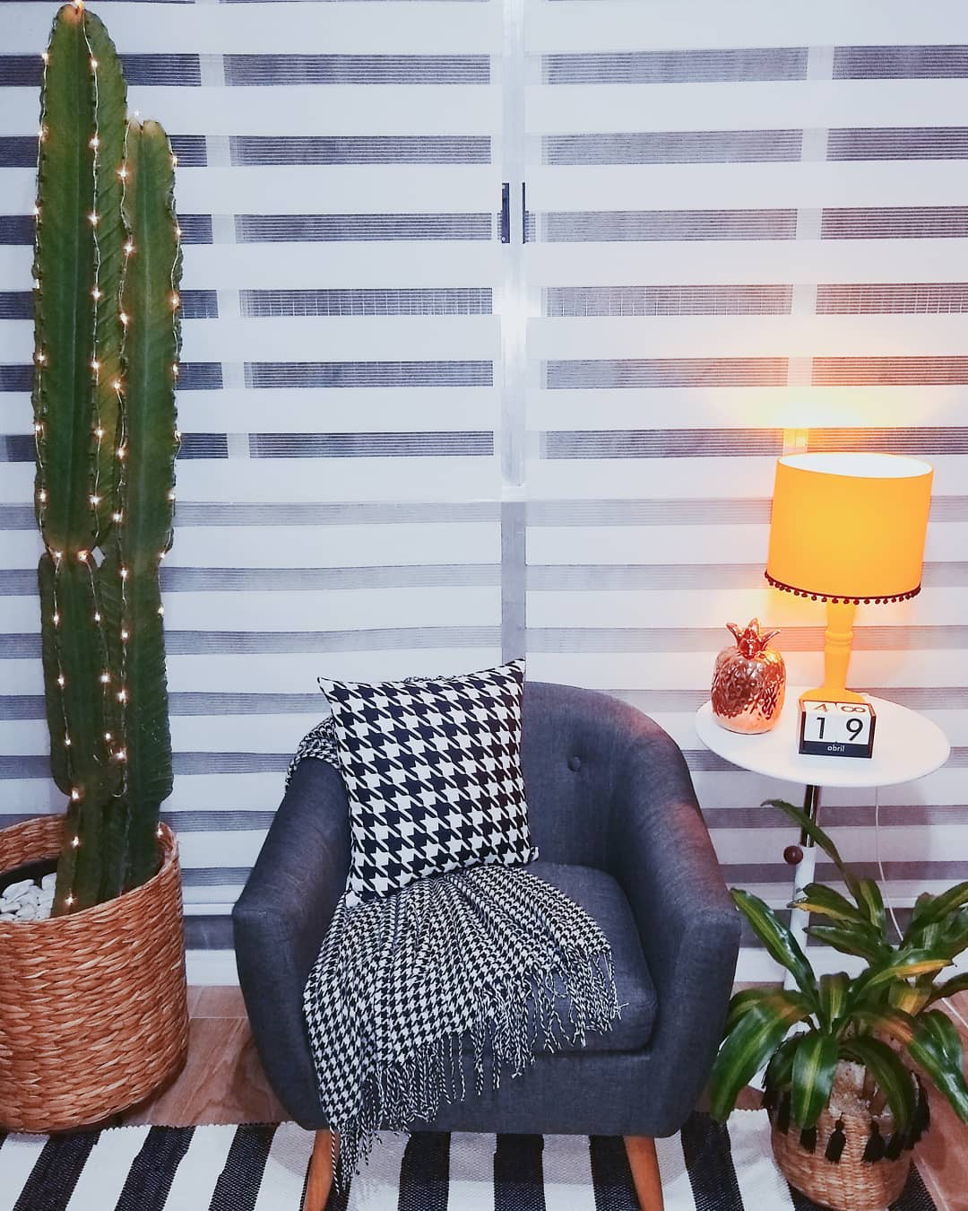cactus dans la pièce à côté du fauteuil