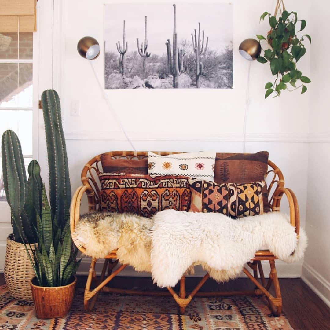 décor rustique avec cactus