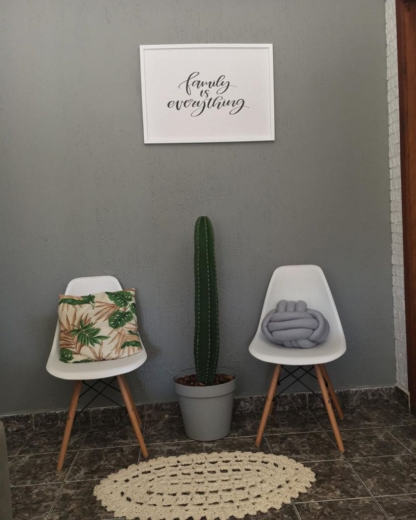 cactus entre deux chaises blanches