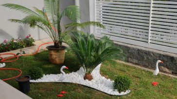 Petit jardin: conseils et 40 belles images et projets!