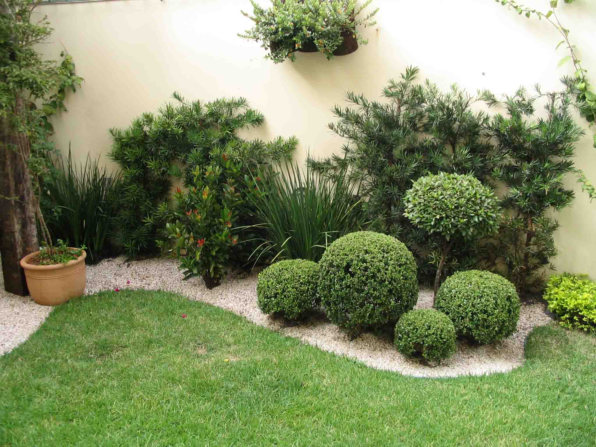 jardin simple avec pierres et arbustes