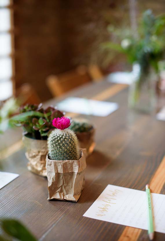 Cactus et plantes grasses pour décorer la simple table de baby shower