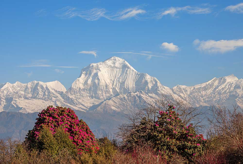 Dhaulagiri - Népal