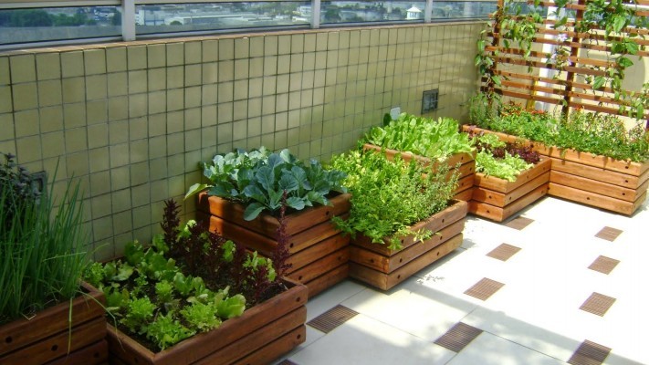 jardin simple avec potager en boîte
