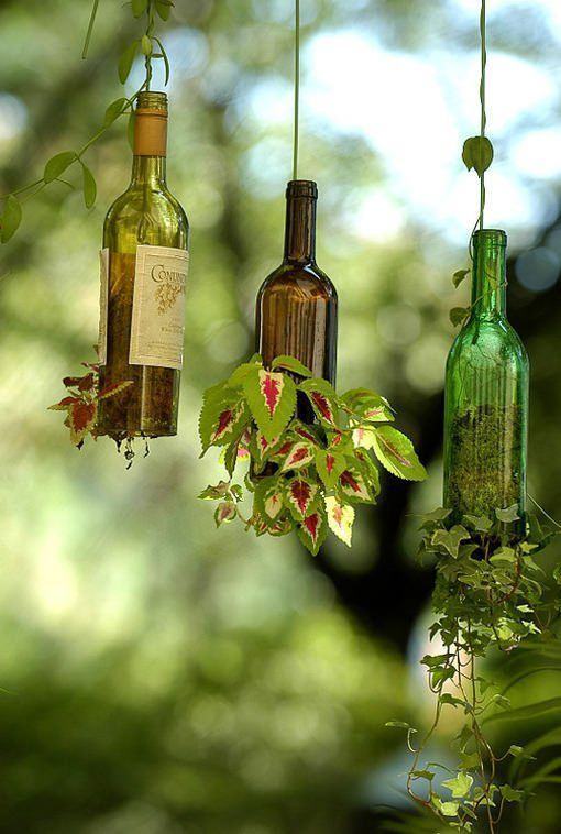 Accrocher des bouteilles de vin aux plantes d'intérieur.
