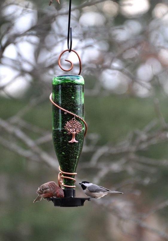 Conteneur d'alimentation pour oiseaux avec bouteille en verre.