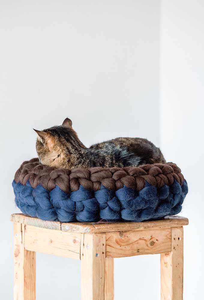 Promenade pour chats en tricot géant;  la même idée peut être transmise aux autres animaux de la maison