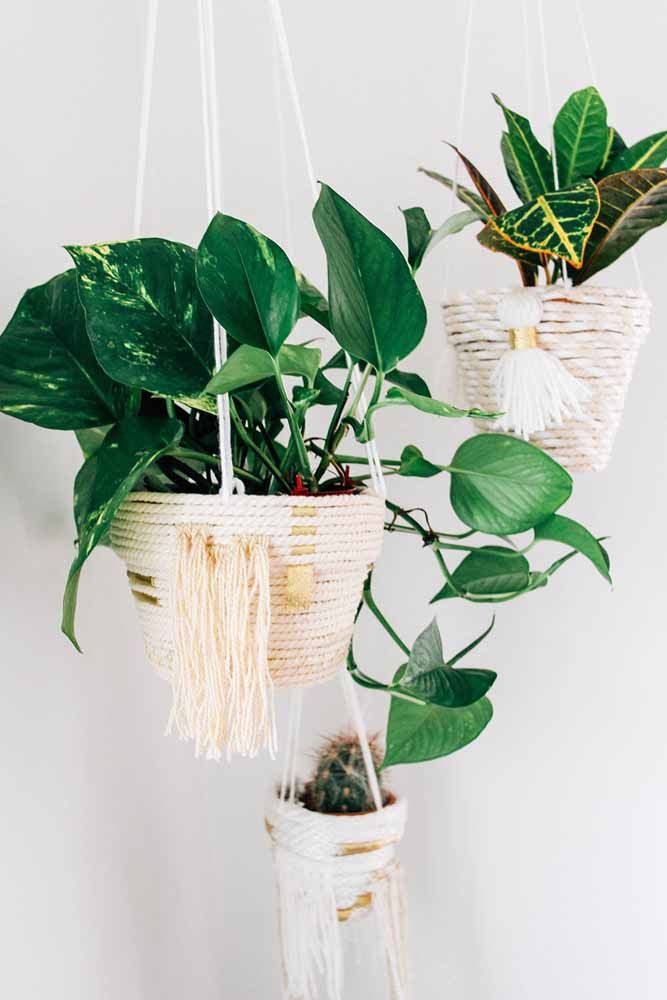 Et le point culminant ici va au ton vert foncé des plantes en contraste avec le ton neutre des cache-pots 