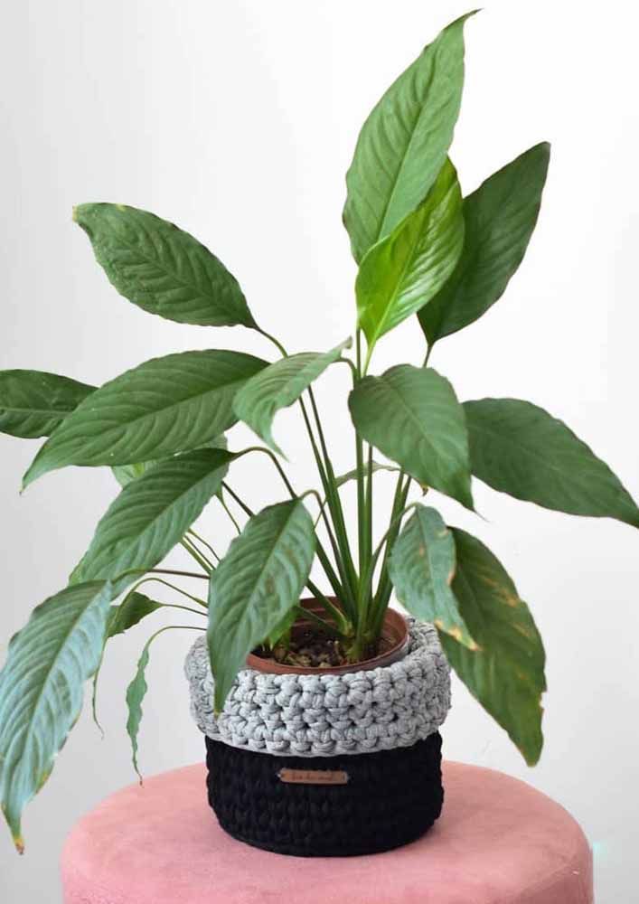 Les cache-pots en crochet sont également à la hausse;  n'oubliez pas d'en retirer la plante lors de l'arrosage